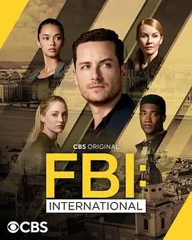 《联邦调查局：国际 第四季》：FBI的国际范儿！这帮特工的情商够不够用？